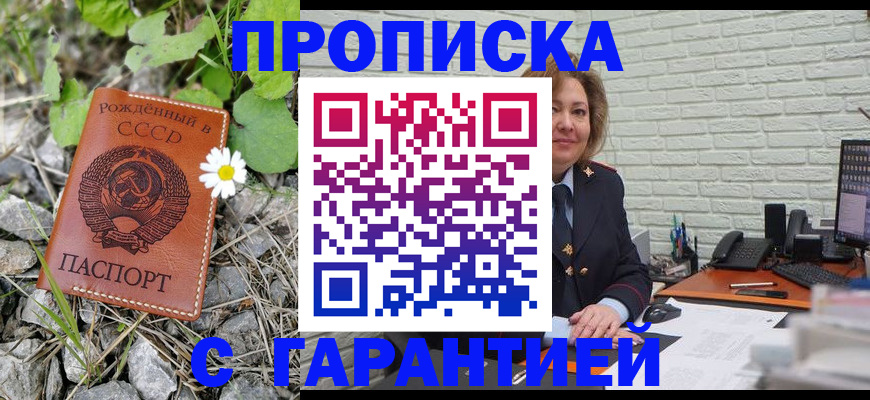 прописка поиск в Березниках